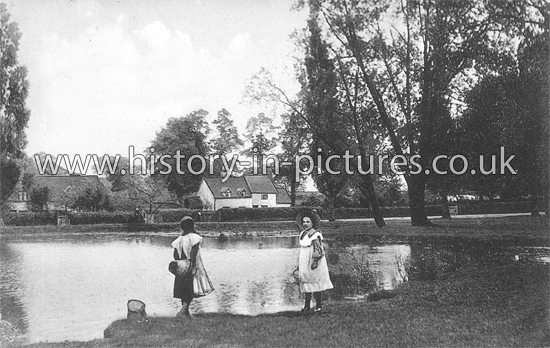 The Pond, Theydon Bois, Epping Forest, Essex. c.1917